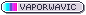 a pixel button that says &quot;vaporwavic&quot; with the associated flag.